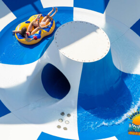 DUAL SPIN BOWL